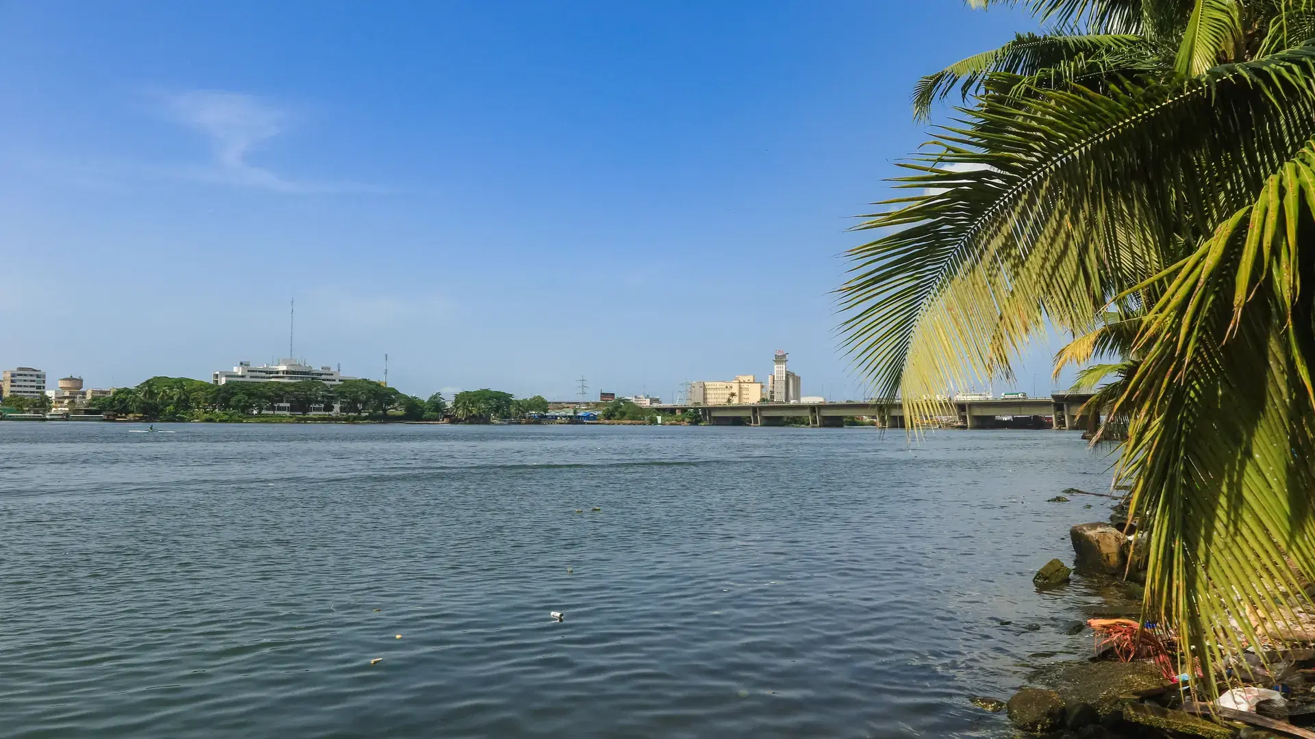 Vibrant riverside view in Abidjan with clear skies and palm trees in the foreground