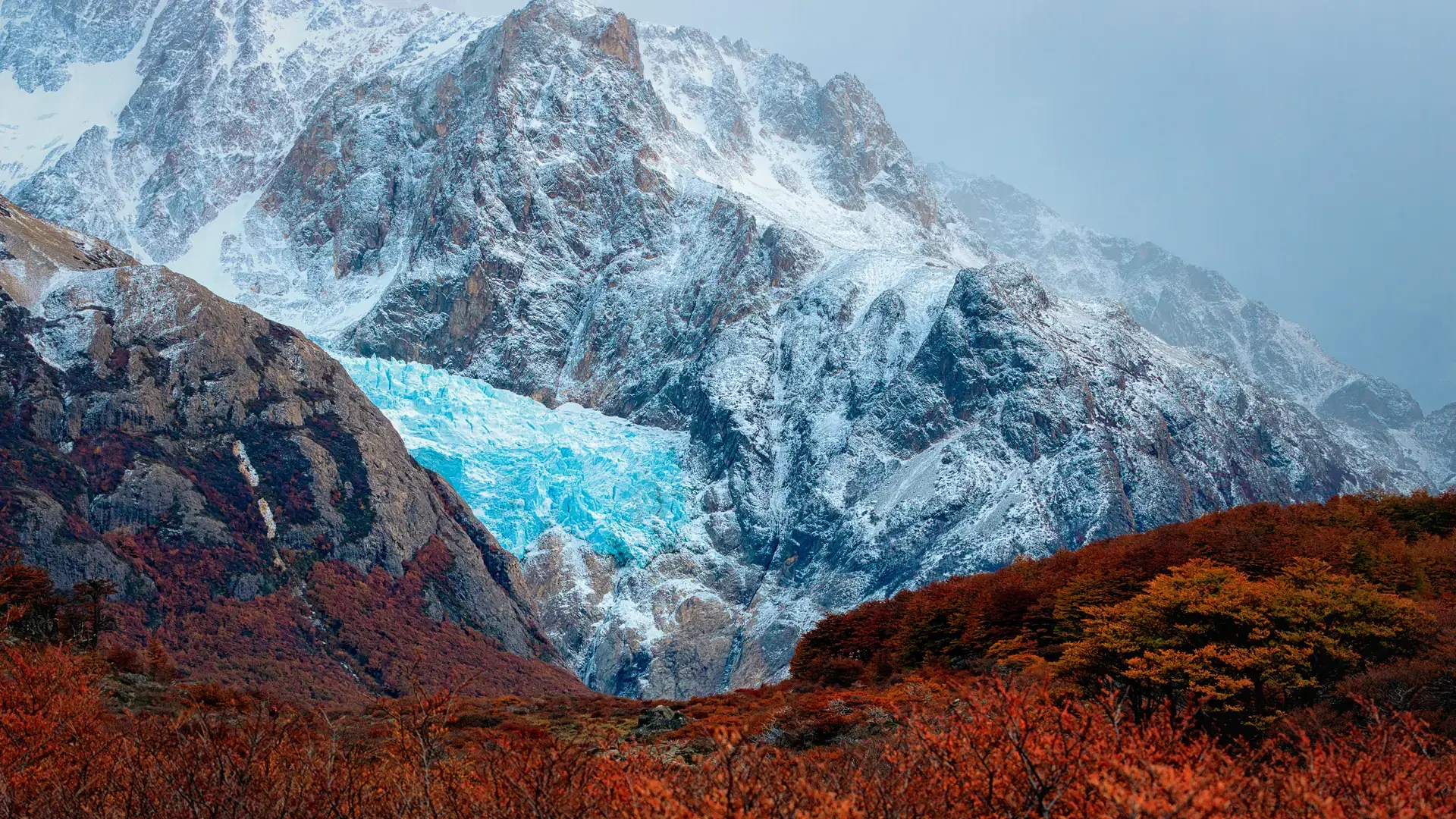 Glaciar Piedras Blancas above beech forest. Los Glaciares National Park.  El Chalten. Santa Cruz province. Andes. Patagonian Argentina. 
