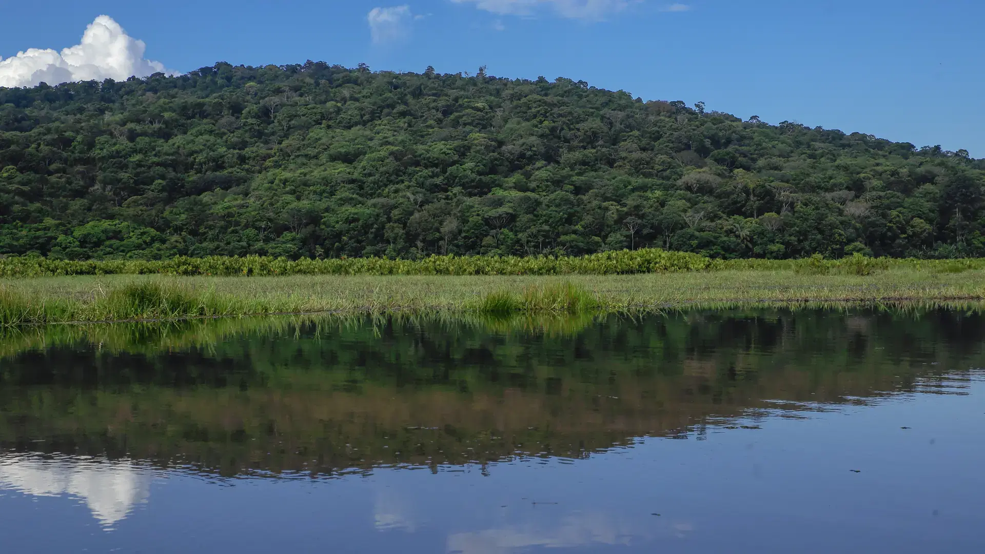 Iles du Salut, Guiana