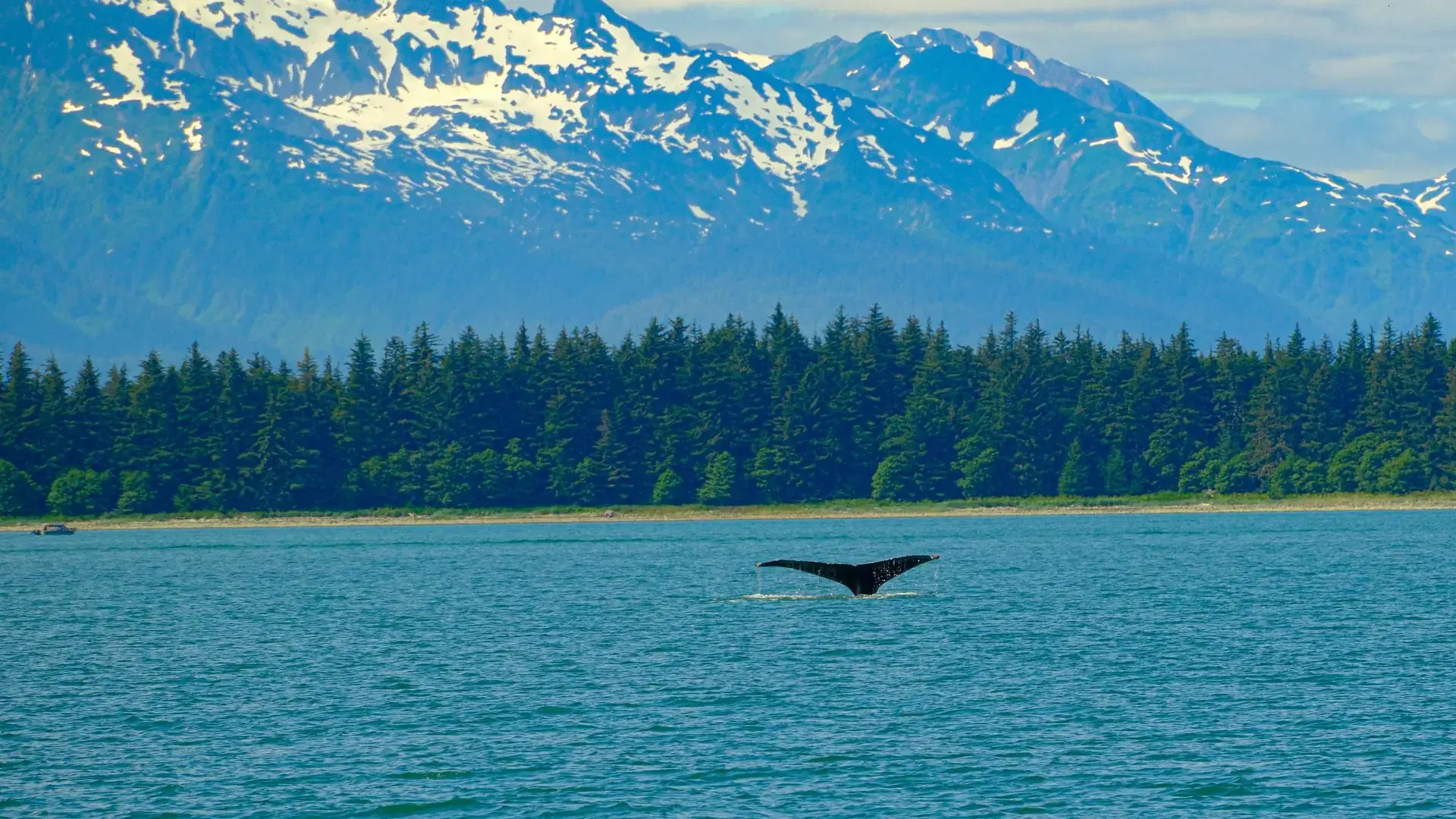 Inside Passage, Alaska
