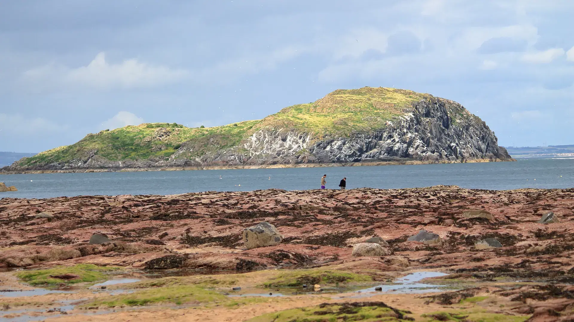 Isle Of May, Scotland