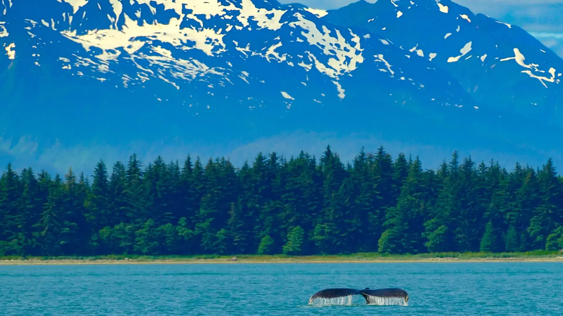 JUNEAU, ALASKA- July 7, 2024: The City of Juneau is the capital city of Alaska. Juneaus population can increase by roughly 6,000 people from cruise ships between the months of May and September.
