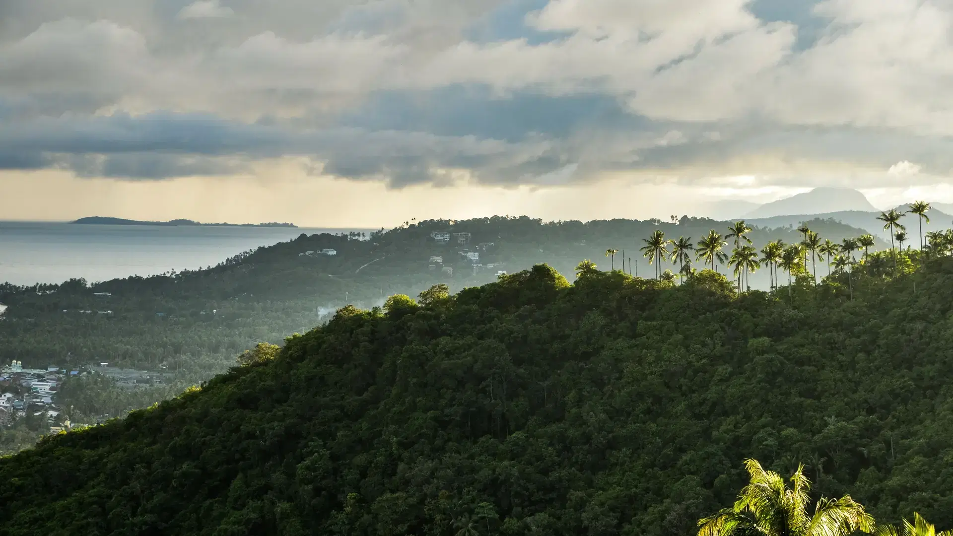 An aerial view of a beautiful forest near the mountains in Ko Samui, Thailand