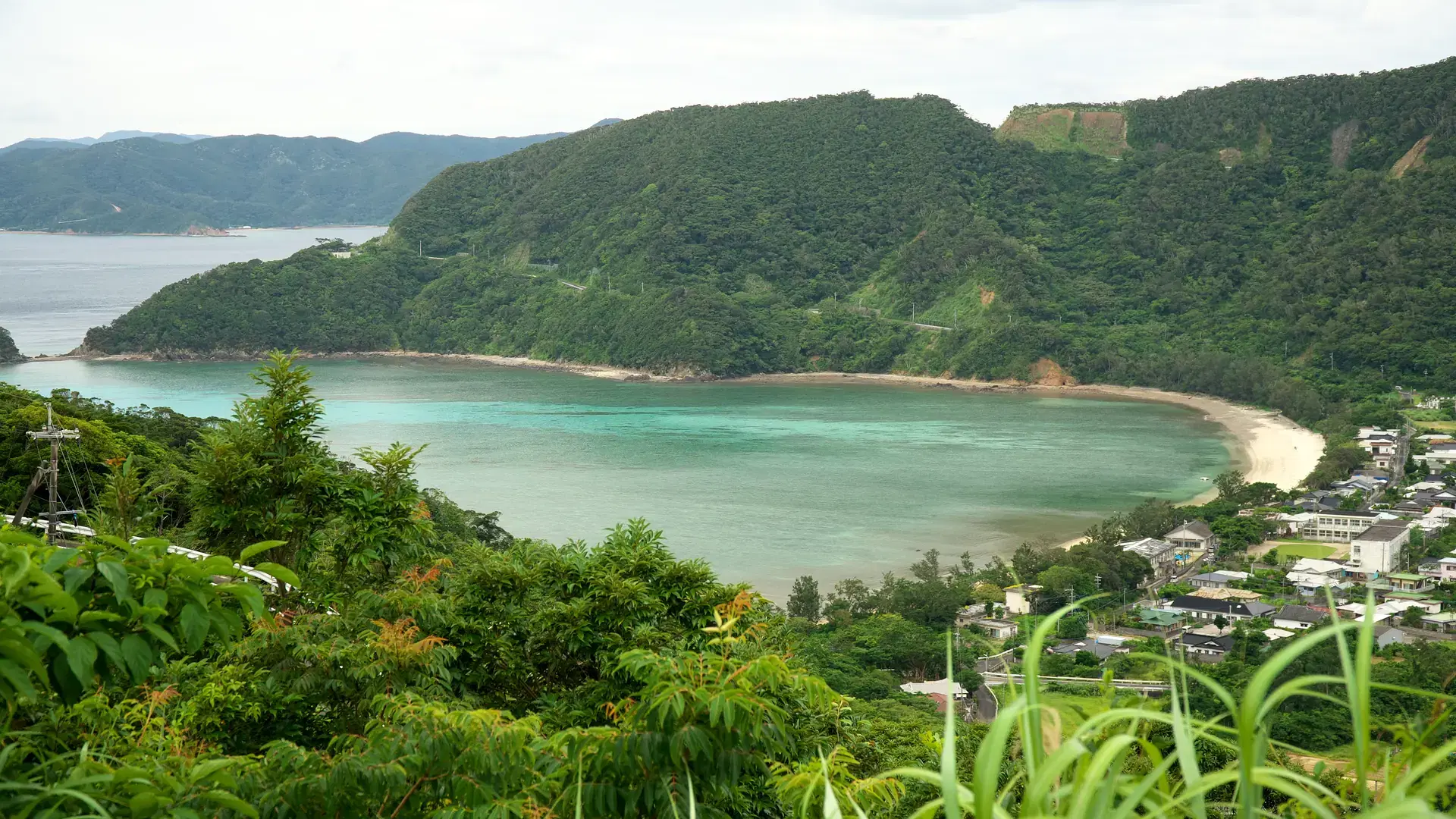 Naze, Amani Oshima