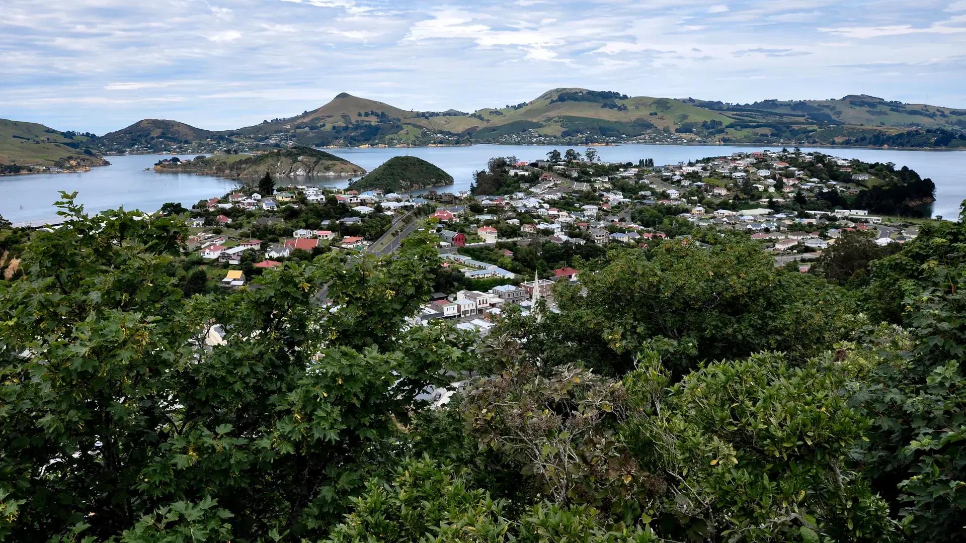 A scenic view of the Beautiful Port Chalmers and Otago harbour, New Zealand