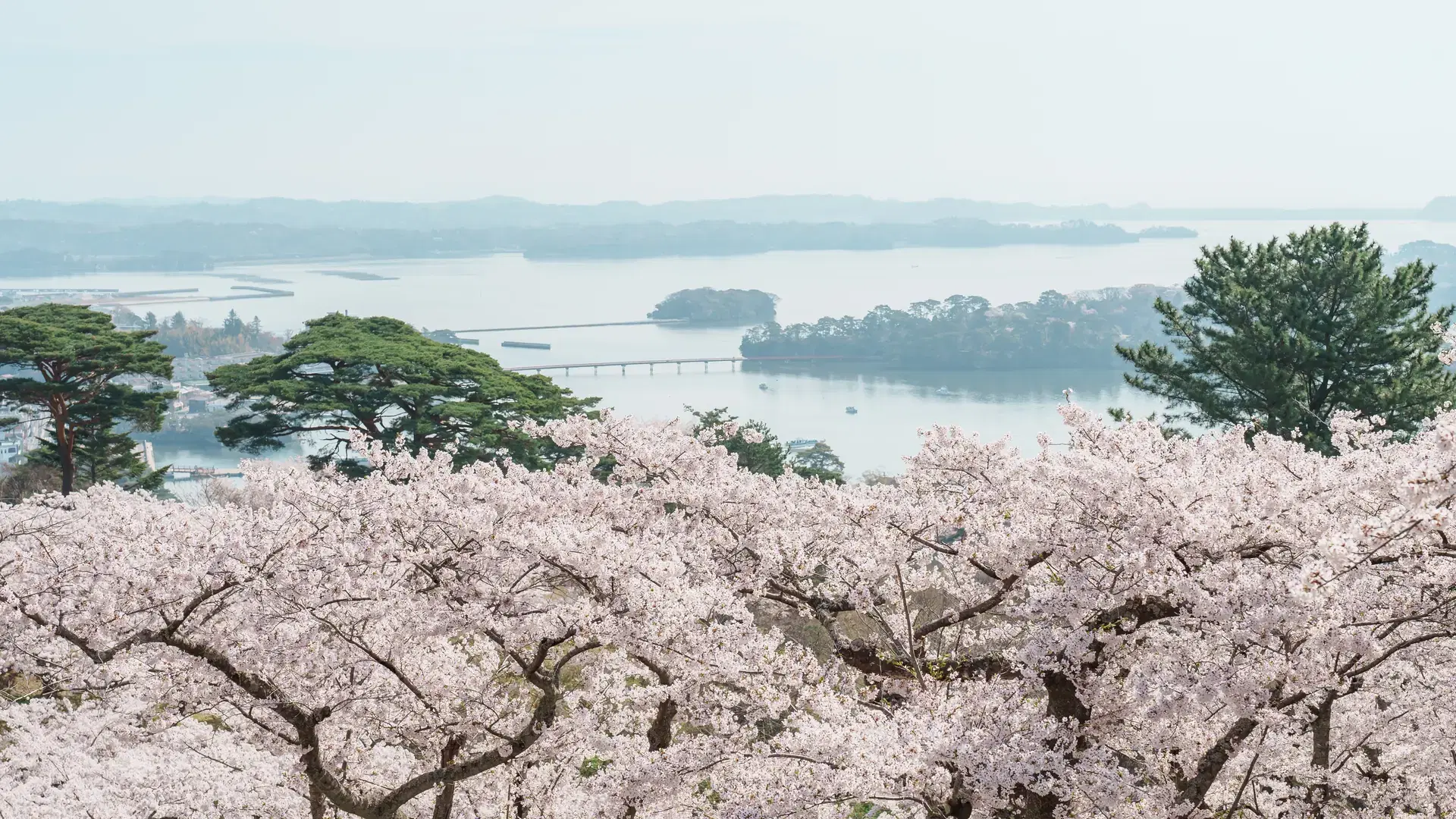 Sendai, Japan
