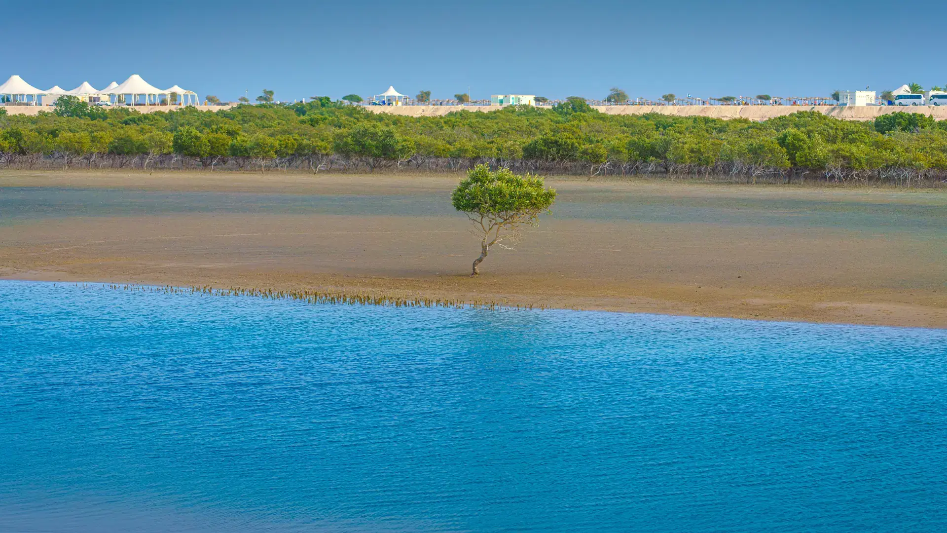 Sir Bani Yas Island, United Arab Emirates