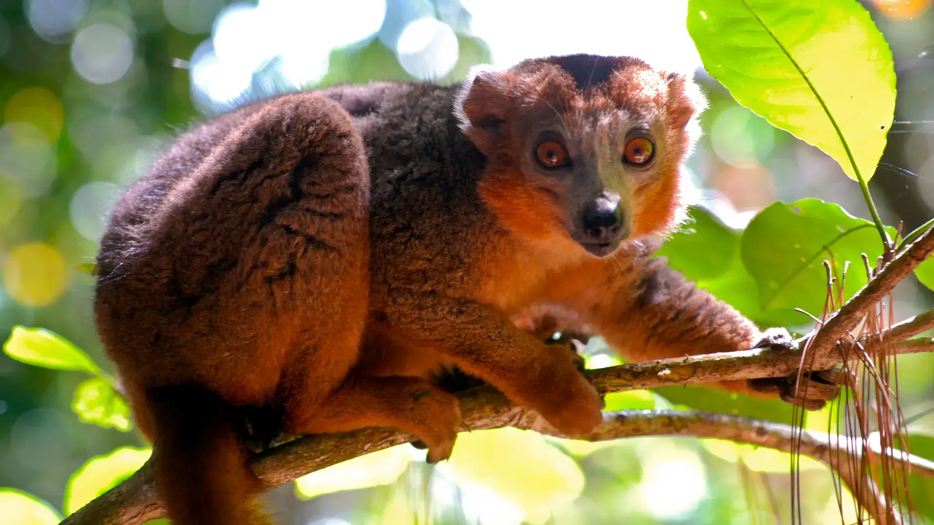 Toamasina, Madagascar