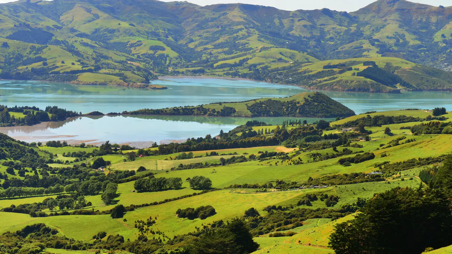 A beautiful view of Akaroa, New Zealand