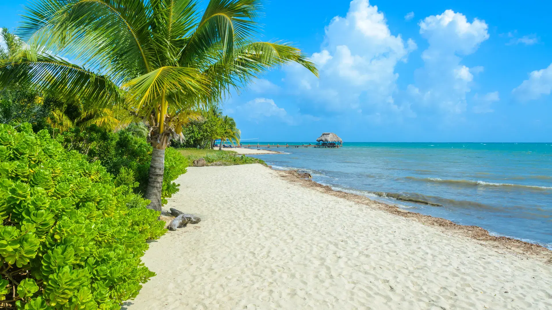 Paradise beach in Placencia, tropical coast of Belize, Caribbean Sea, Central America.