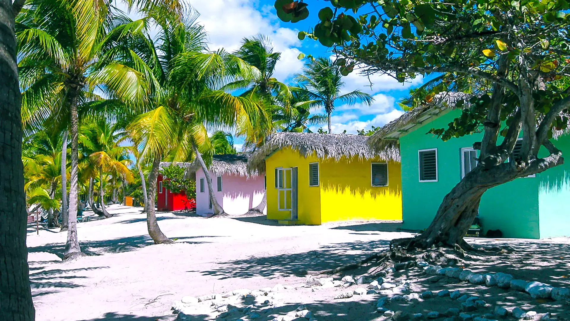 The view of the Catalina island, Dominican Republic