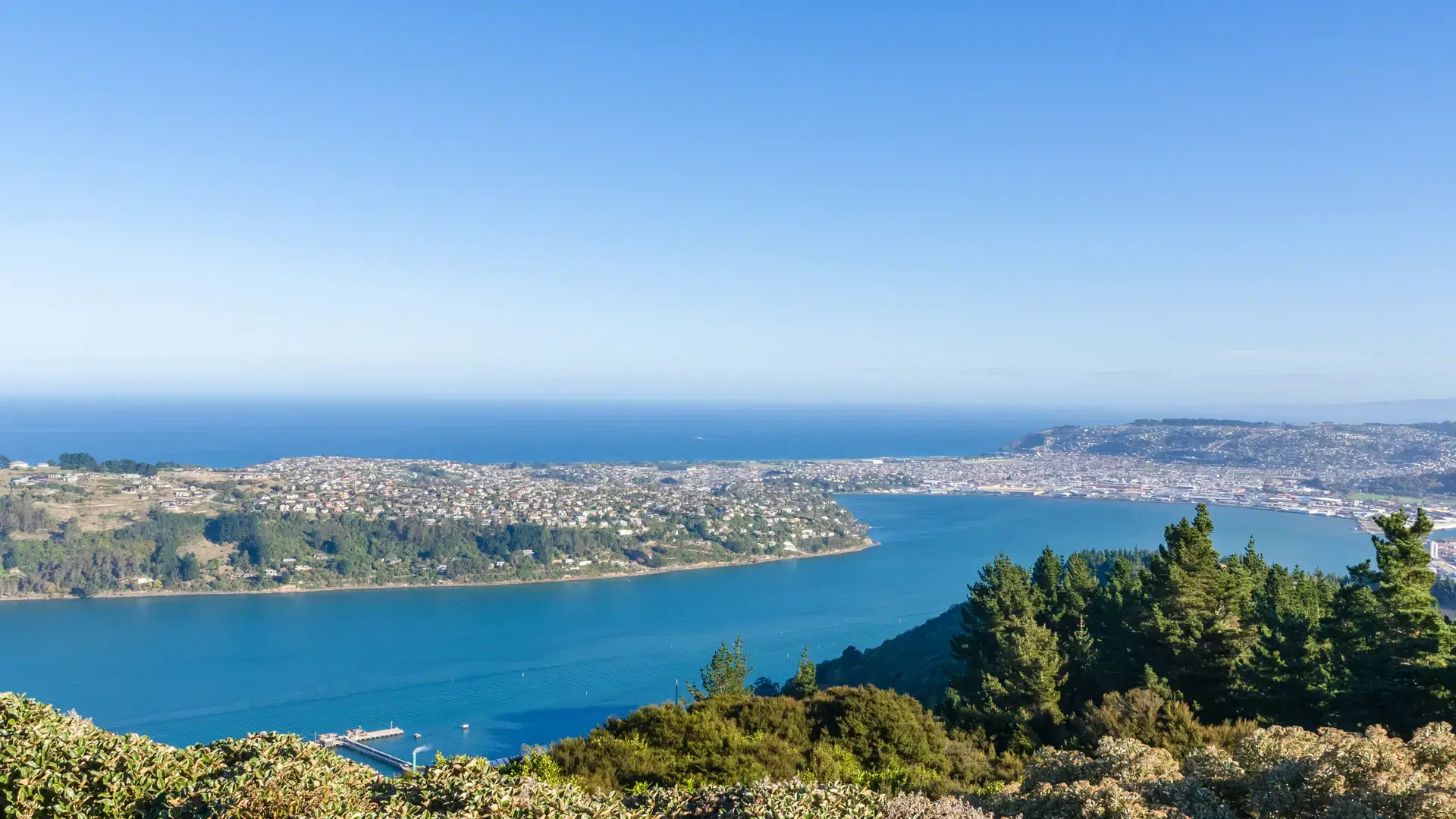 Beautiful cityscape view of the Dunedin in New Zealand.