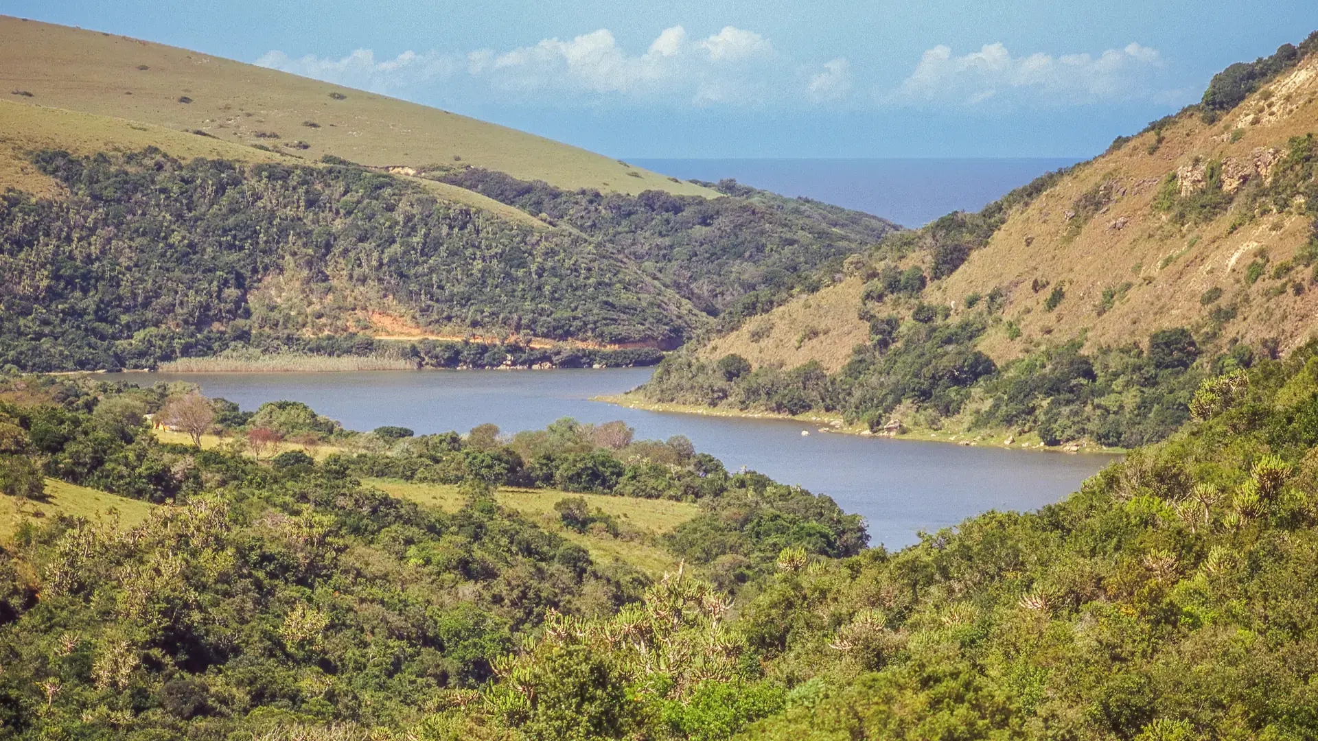 The Igoda River is situated some 20 km from East London in the Eastern Cape Province of South Africa.