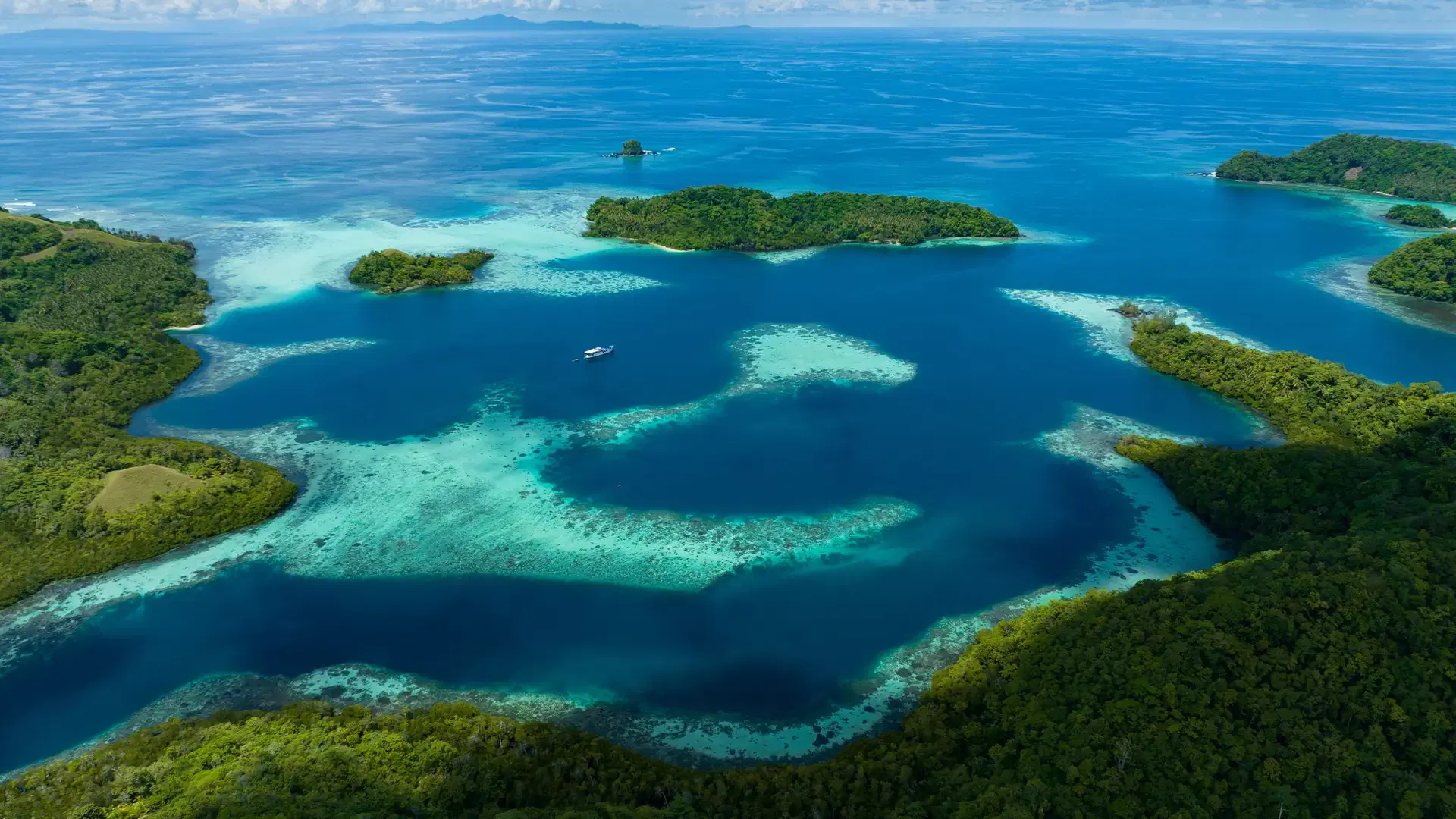 Extensive coral reefs fringe rainforest-covered islands in the Solomon Islands. This beautiful country is home to spectacular marine biodiversity and many historic WWII sites.