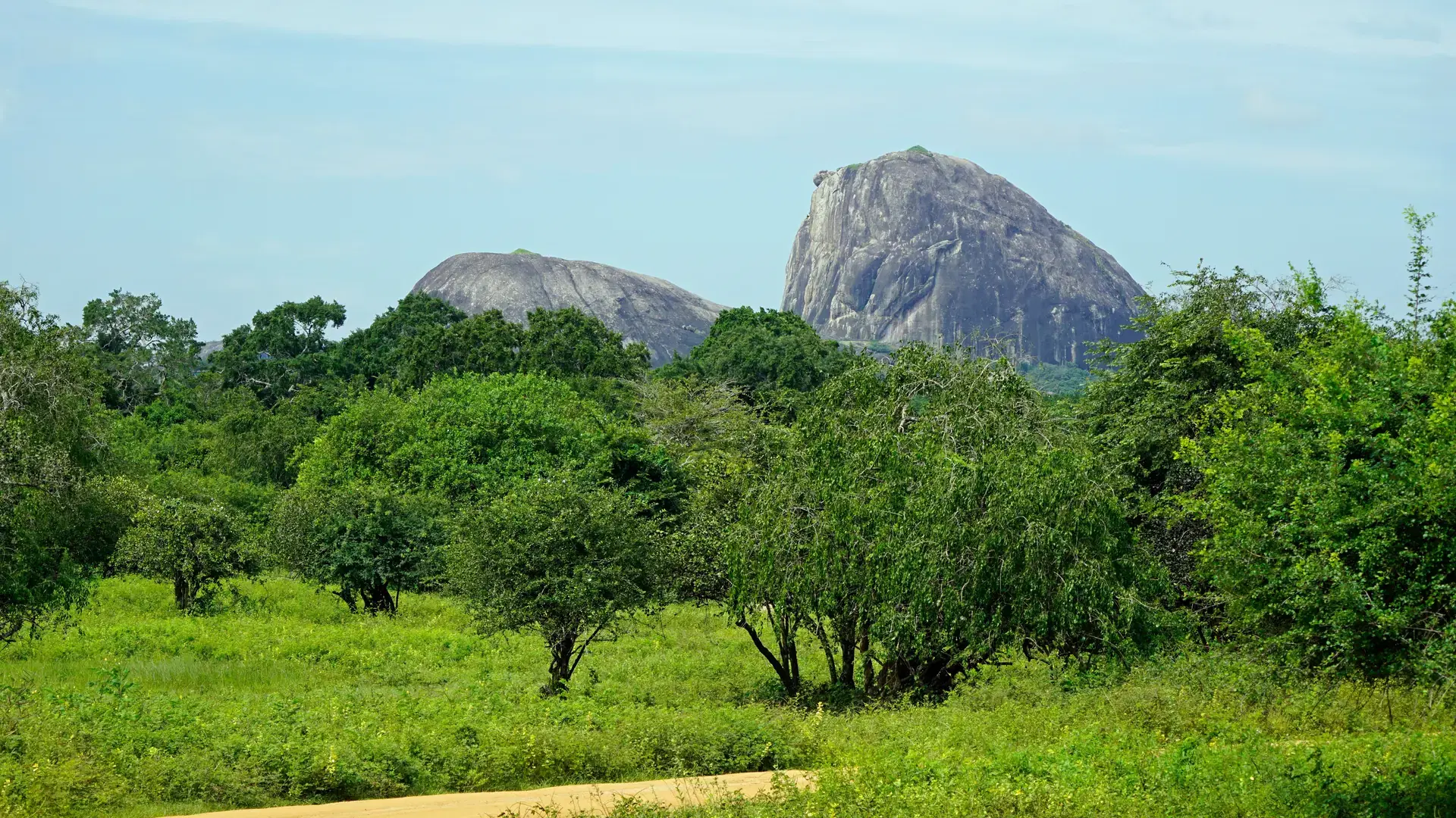 scenic landscape in the yala national park in sri lanka
