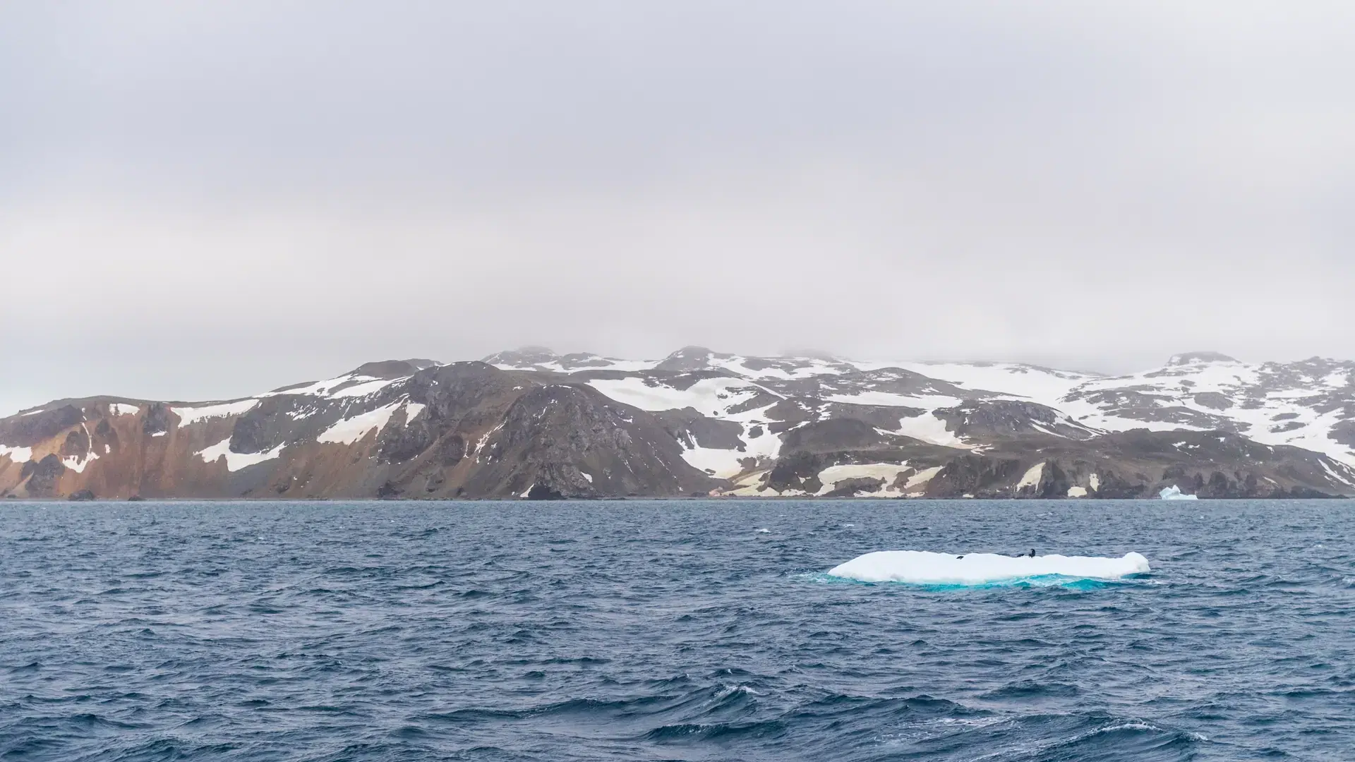 Impression of the rugged coast of King George island in the Antactic