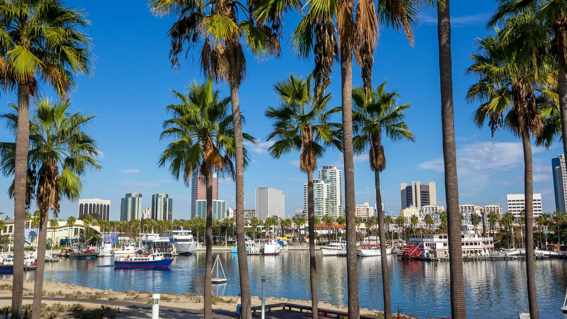 Long Beach Marina and city skyline, Long Beach, California.
