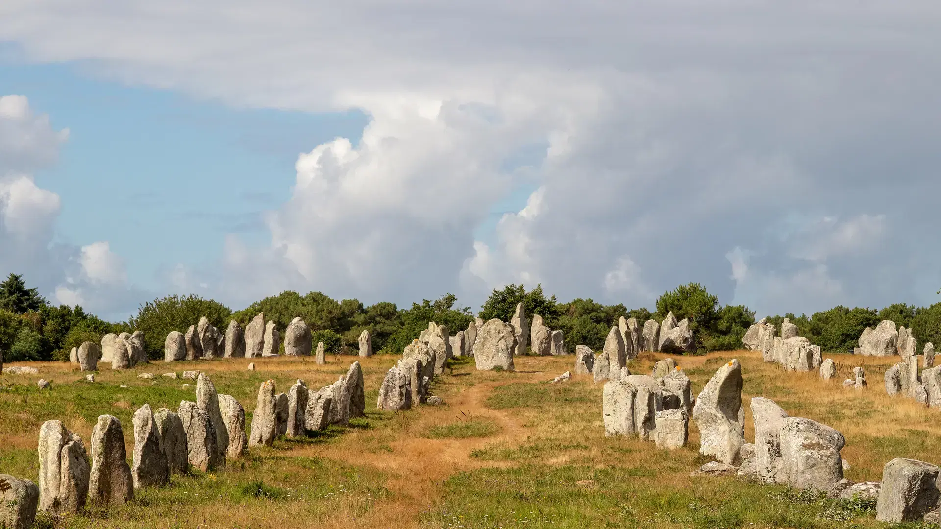 Alignements de Kermario, rows of standing stones - Menhirs, the largest megalithic site in the world, Carnac, Brittany, France