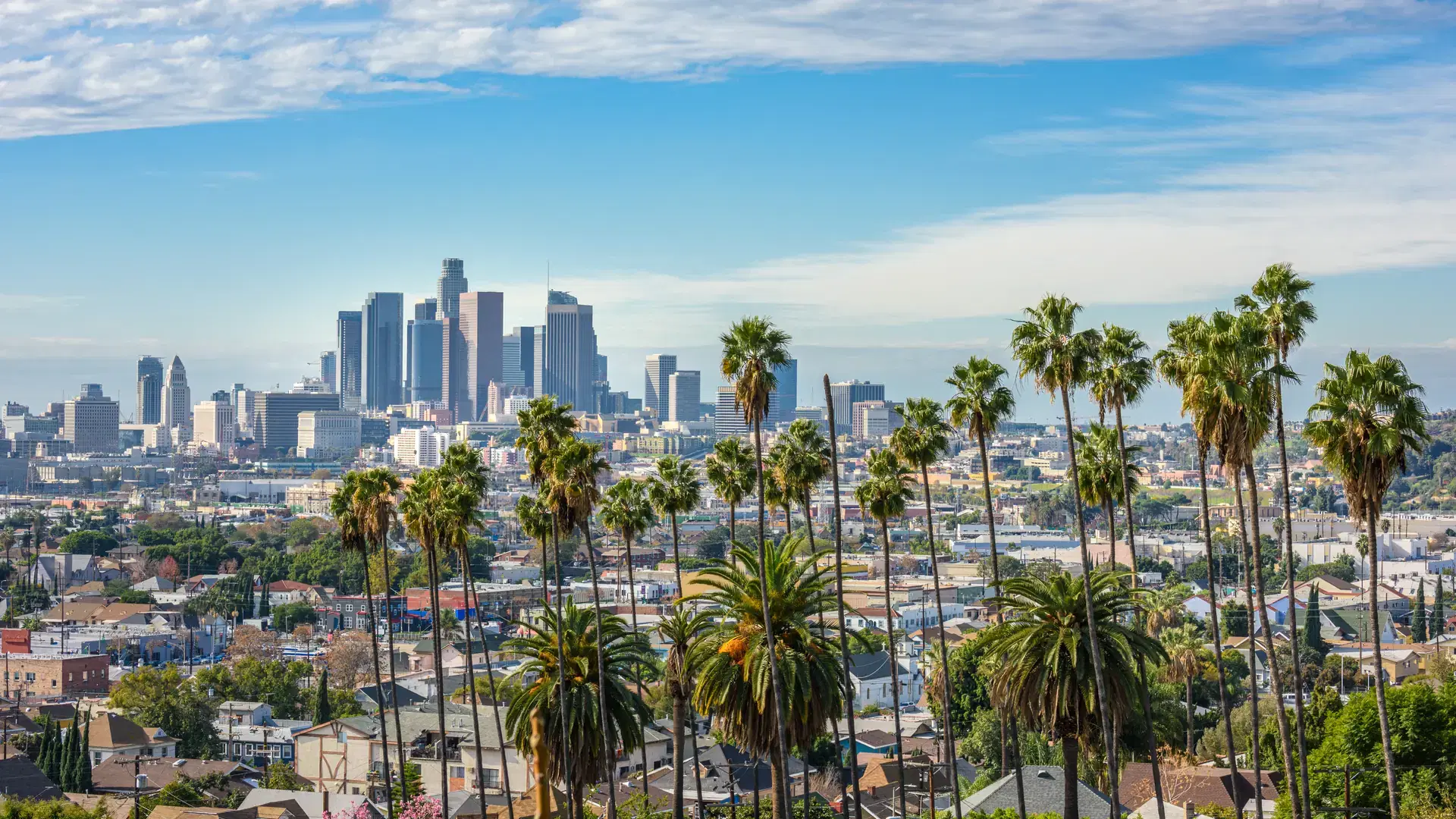 Cloudy day of Los Angeles downtown skyline and palm trees in foreground