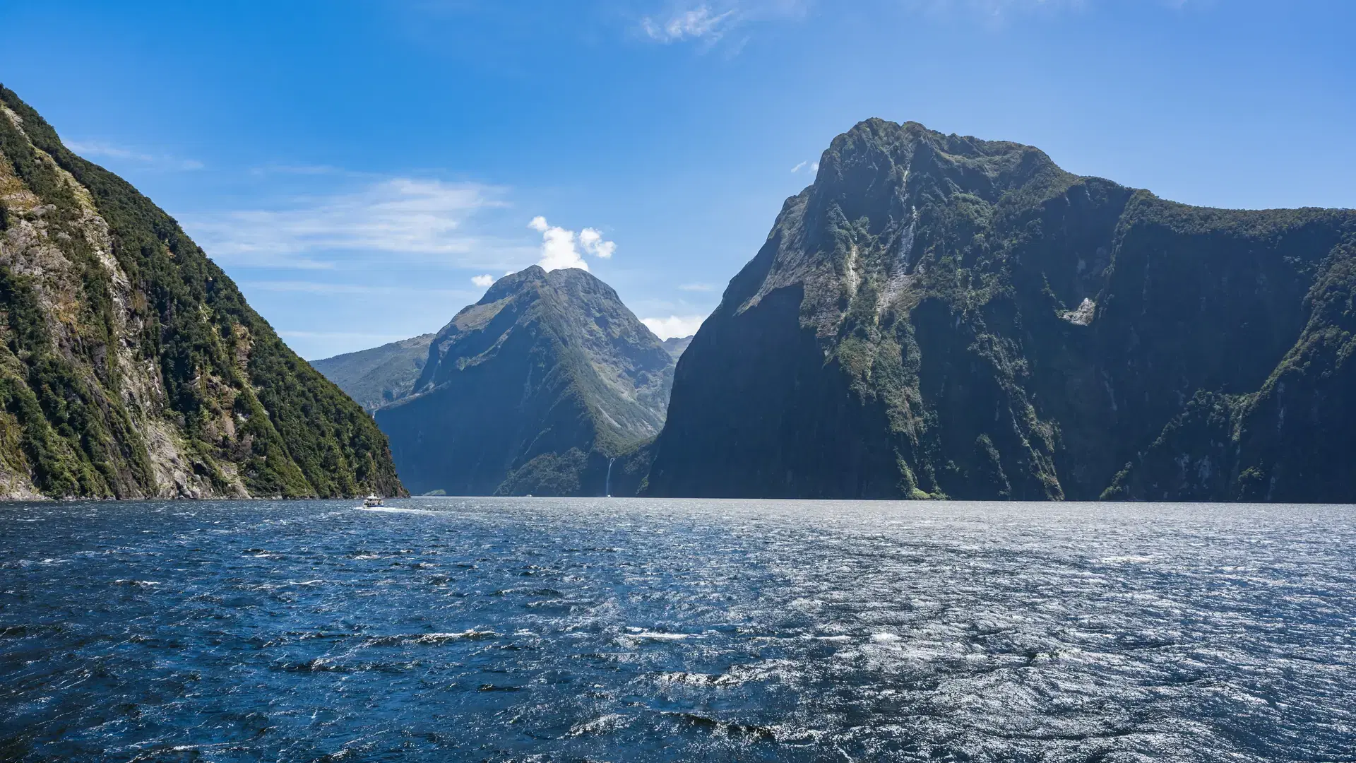 milford sound cruise in new zealand
