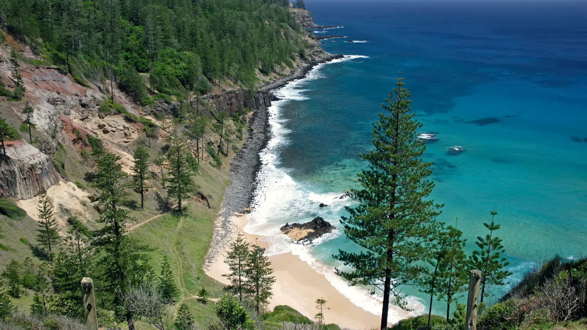 Scenic view of Norfolk Pine trees and coastline, Norfolk Island, External Territory of Australia
