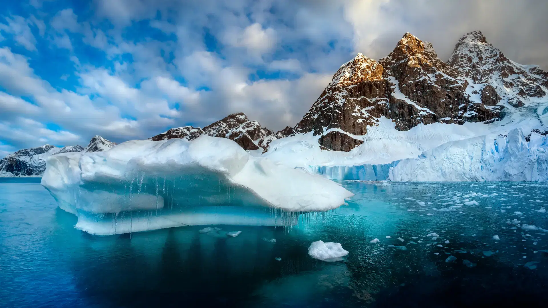 Petzval Glacier in Paradise Bay on the Antarctic Peninsula in Antarctica.