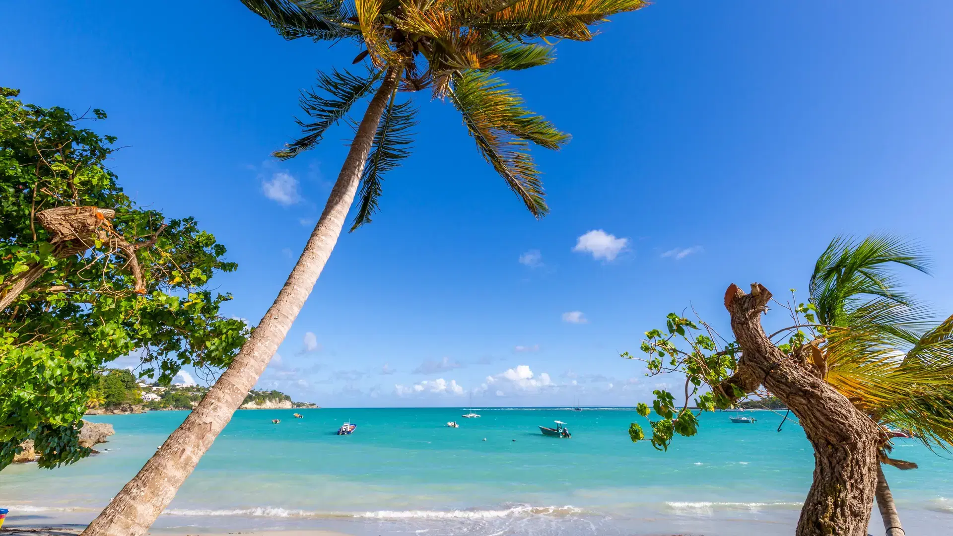La Datcha Beach, Pointe-a-Pitre, Guadeloupe, French Antilles, West Indies, Caribbean, Central America