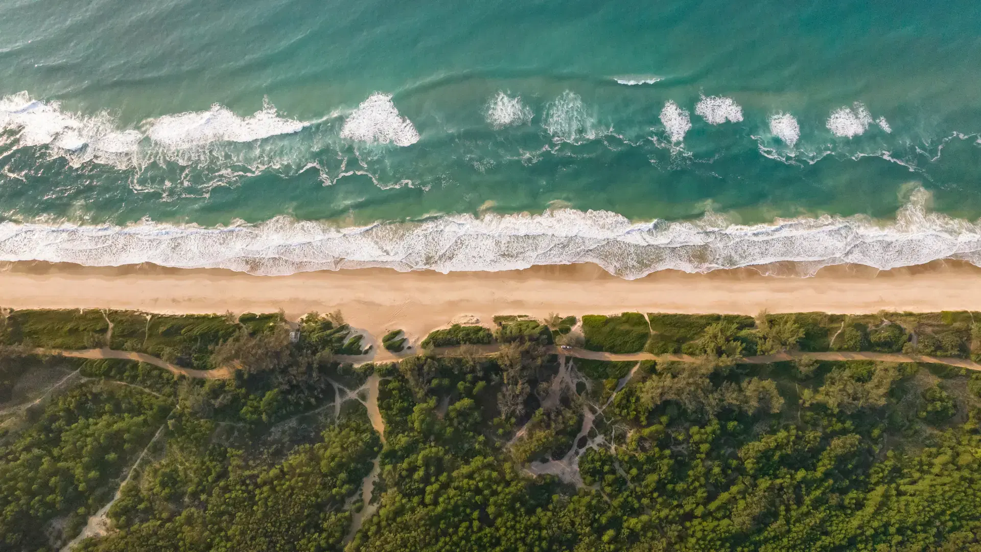 Mozambique Beach in Florianópolis, Brazil. Aerial View. Moçambique Beach