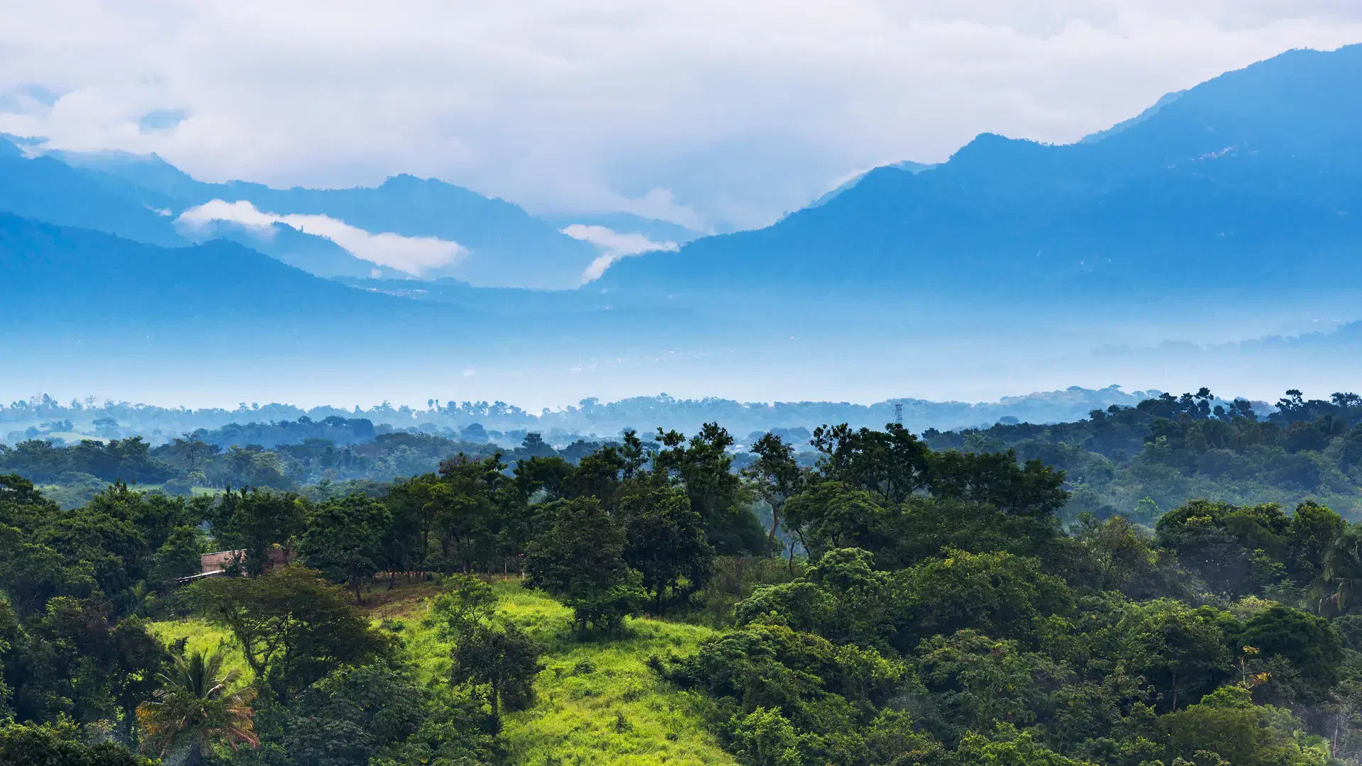 Jungle landscape scenic with mountains on the horizon in Chiapas, Mexico