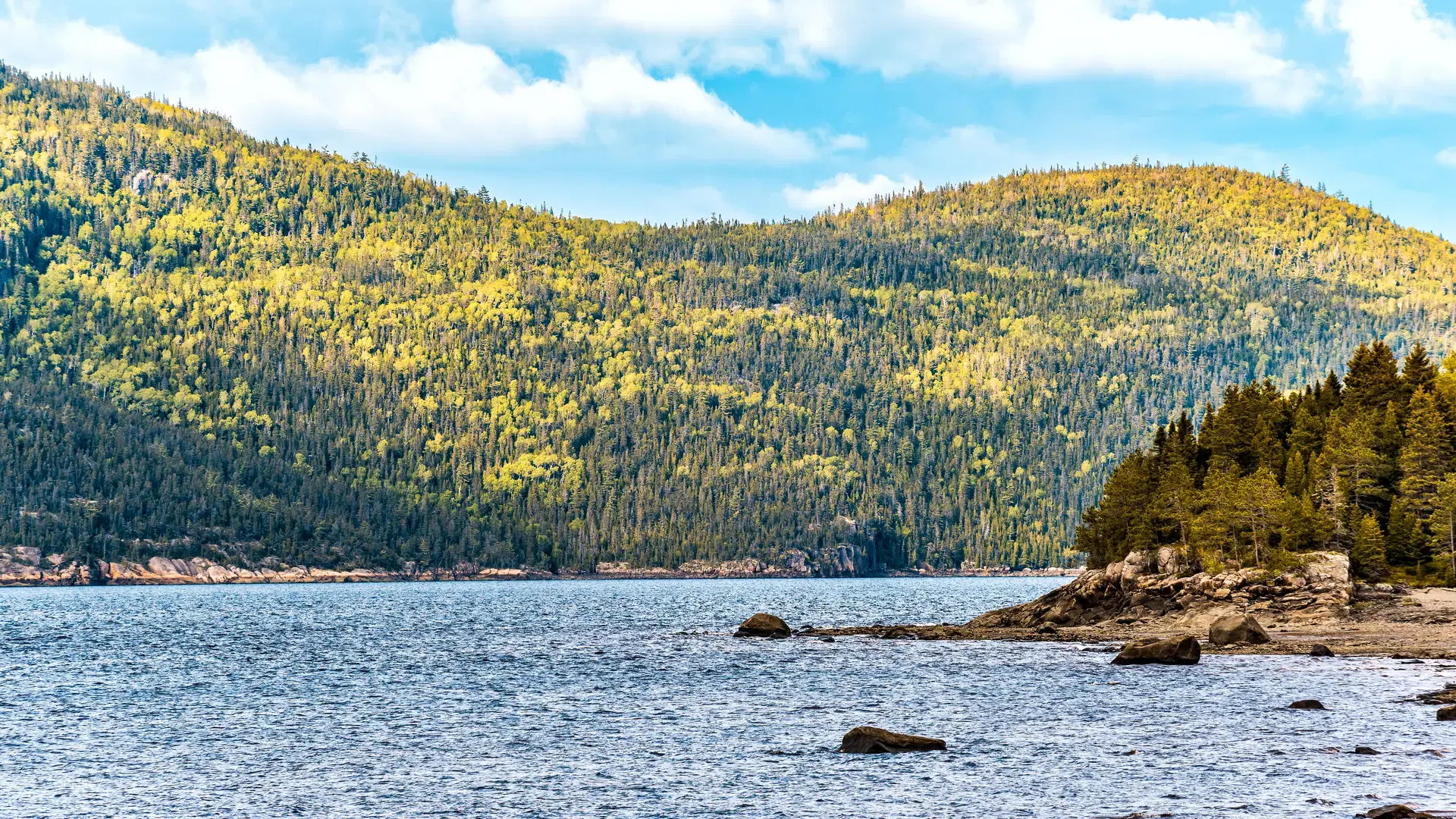 Fjord coast nature near Saguenay river, cliffs, tree forest, mountains and cloudy clouds sky