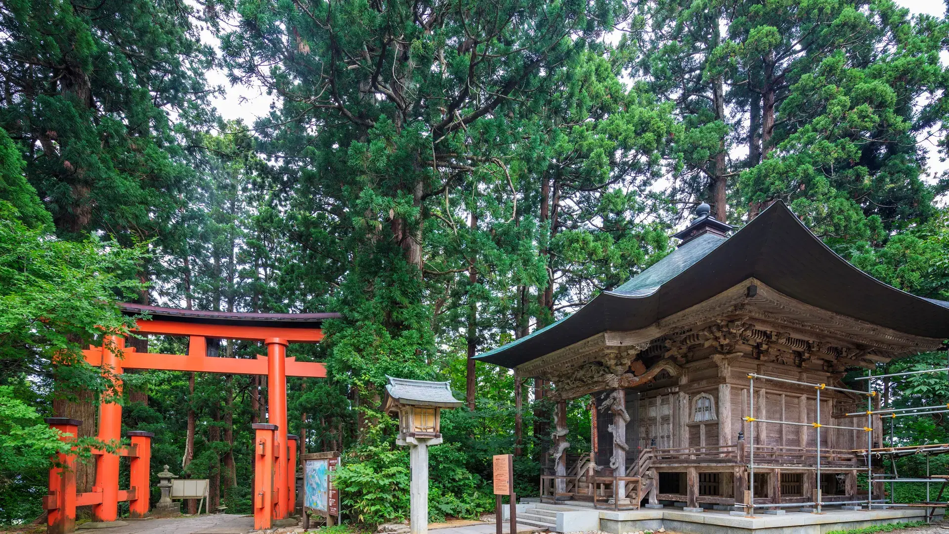 Torii gate on mount haguro, dewa sanzan hagurosan temple, yamagata prefecture, honshu, japan, asia