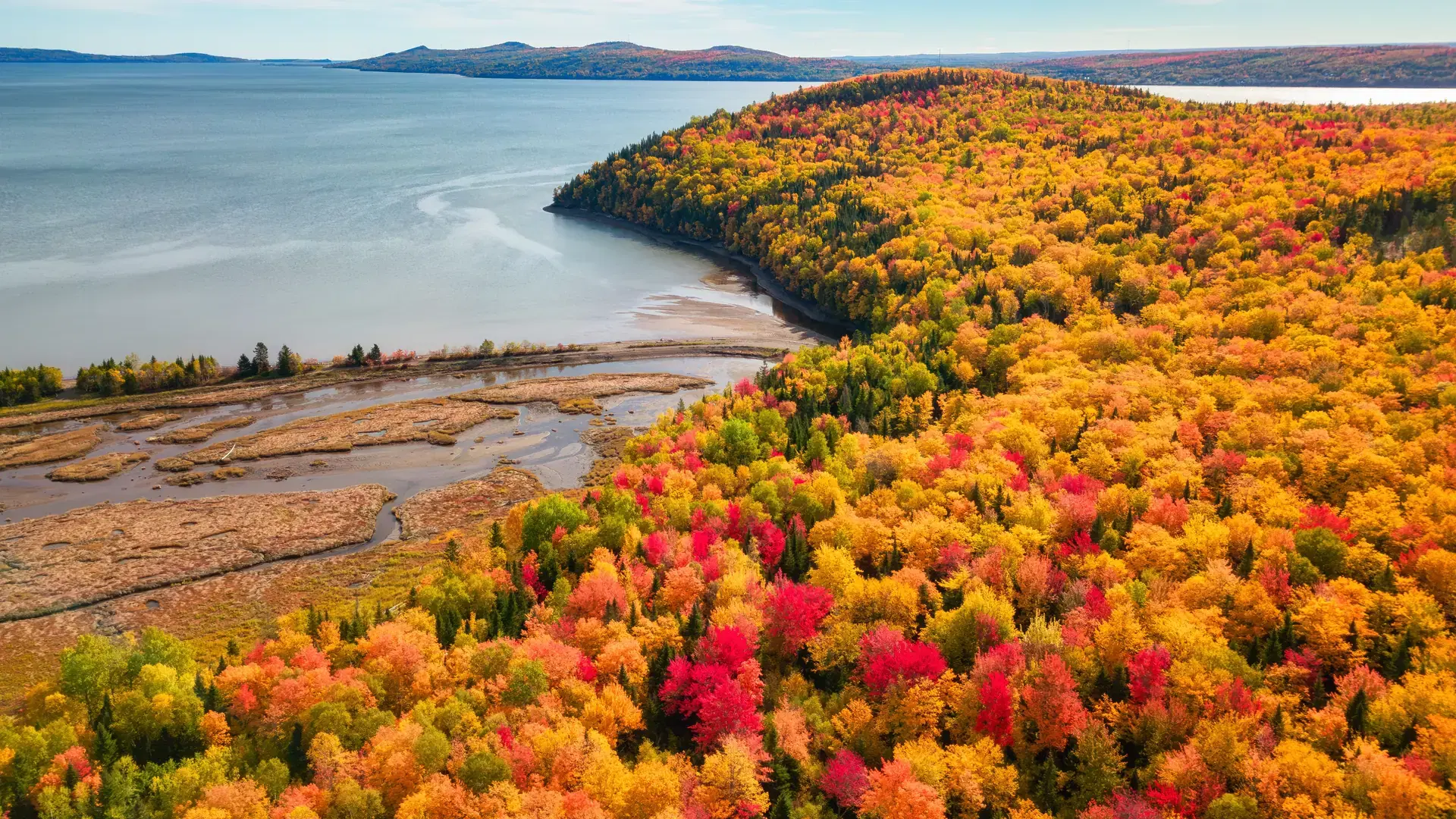 Vibrant trees and landscape on East Coast of Atlantic Ocean. Quebec, Canada.