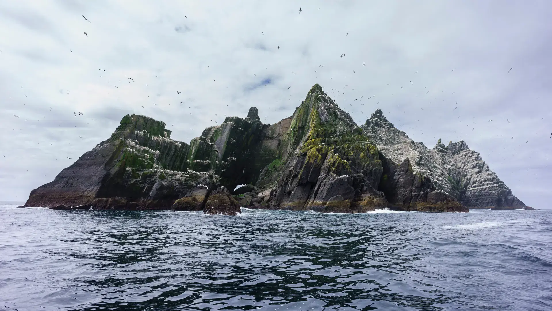 Sceilg Bheag , Skellig Rock Small, Ireland, United Kingdom