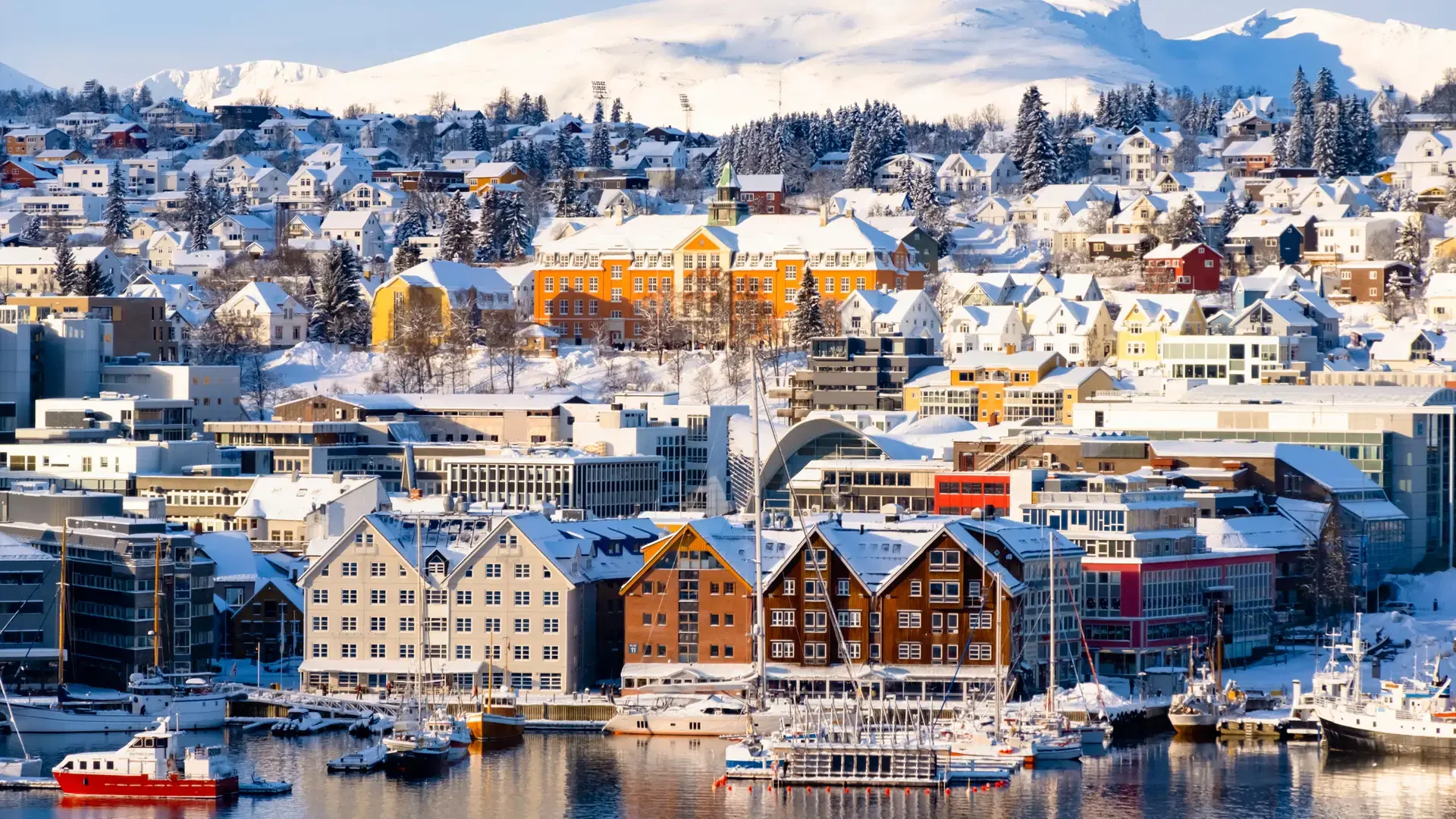 Tromso harbor with houses, fjord, cruise ships and downtown on sunny winter day Norway travel