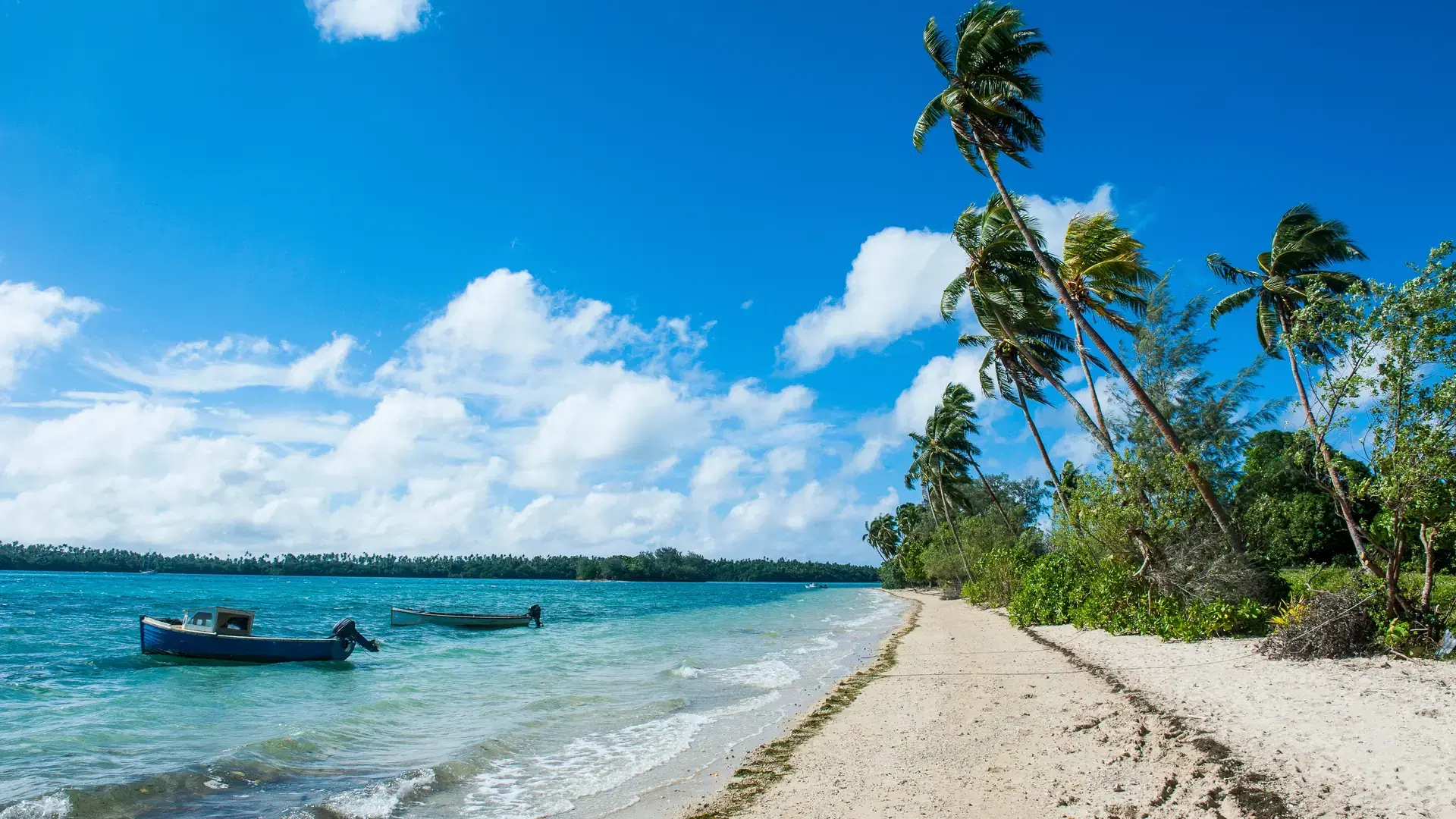 Palm fringed white sand beach on an islet of Vavau, Vavau Islands, Tonga, South Pacific, Pacific