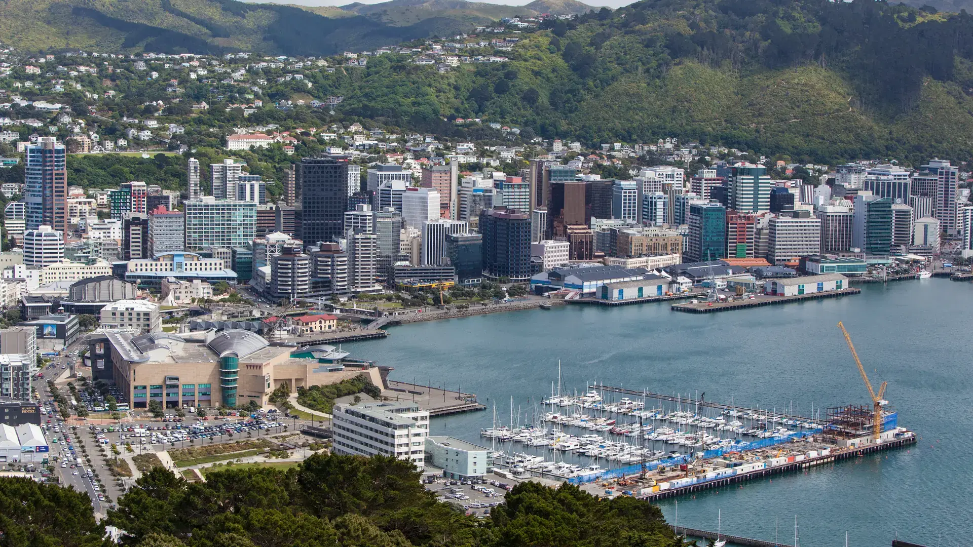 View from Mt Victoria over Wellington, New Zealand