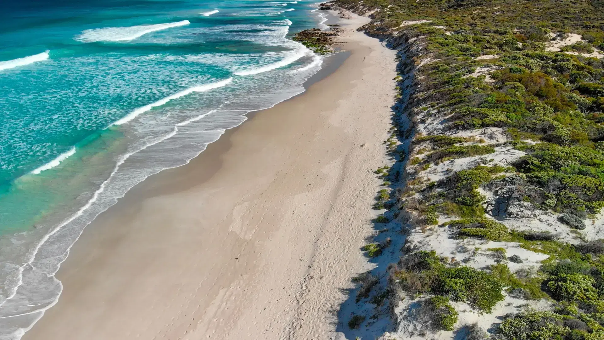 An aerial view of Kangaroo Island Pennington Bay Beach in Australia